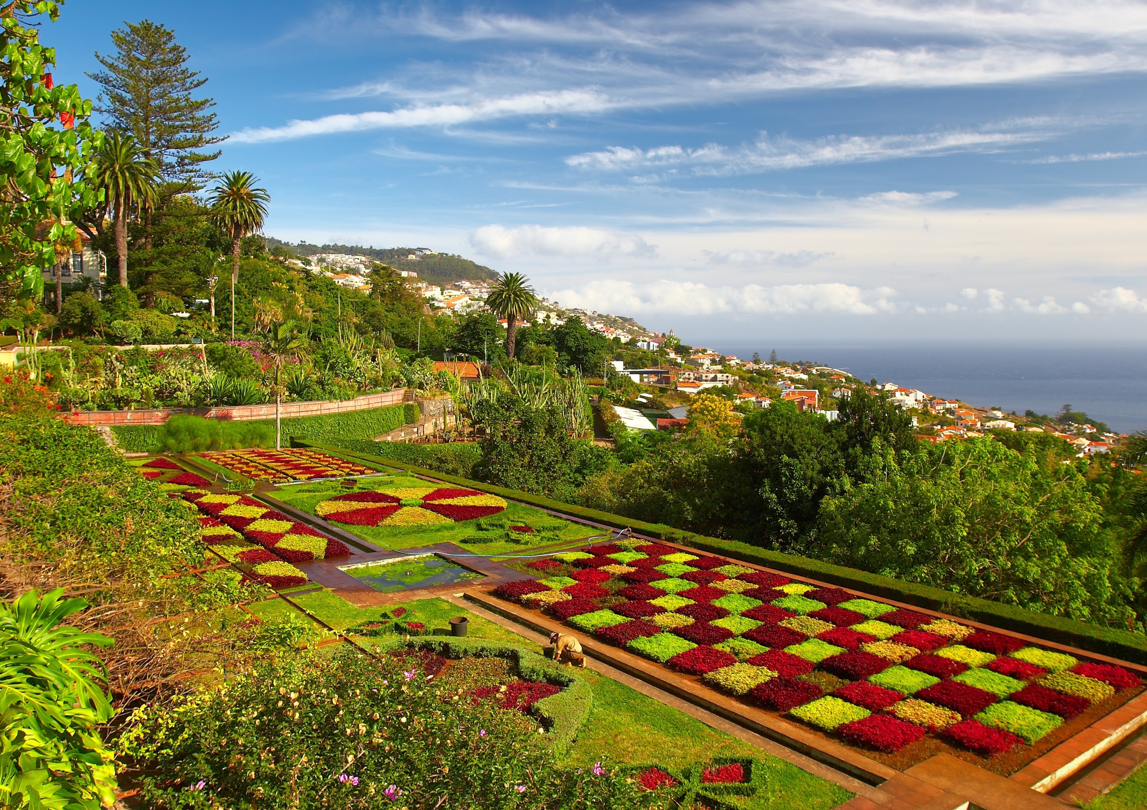 Der Botanische Garten in Funchal auf der Insel Madeira