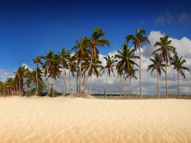 Fluege Punta Cana - Schöner Strand in Punta Cana in der Dominikanischen Republik