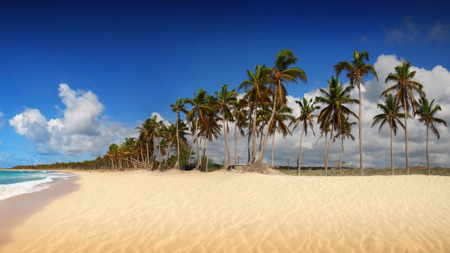 Fluege Punta Cana - Schöner Strand in Punta Cana in der Dominikanischen Republik