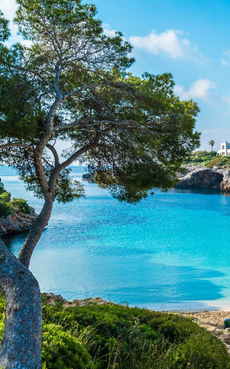 Flüge Ostern 2026 bei McFlight günstig buchen.