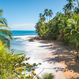 Blick auf den Strand Strand Manzanillo Beach in Puerto Viejo Costa Rica