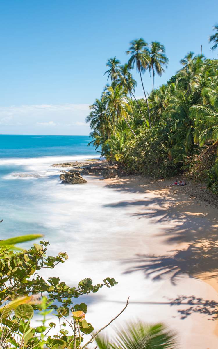 Blick auf den Strand Strand Manzanillo Beach in Puerto Viejo Costa Rica