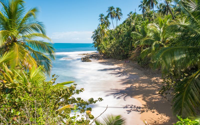 Blick auf den Strand Strand Manzanillo Beach in Puerto Viejo Costa Rica