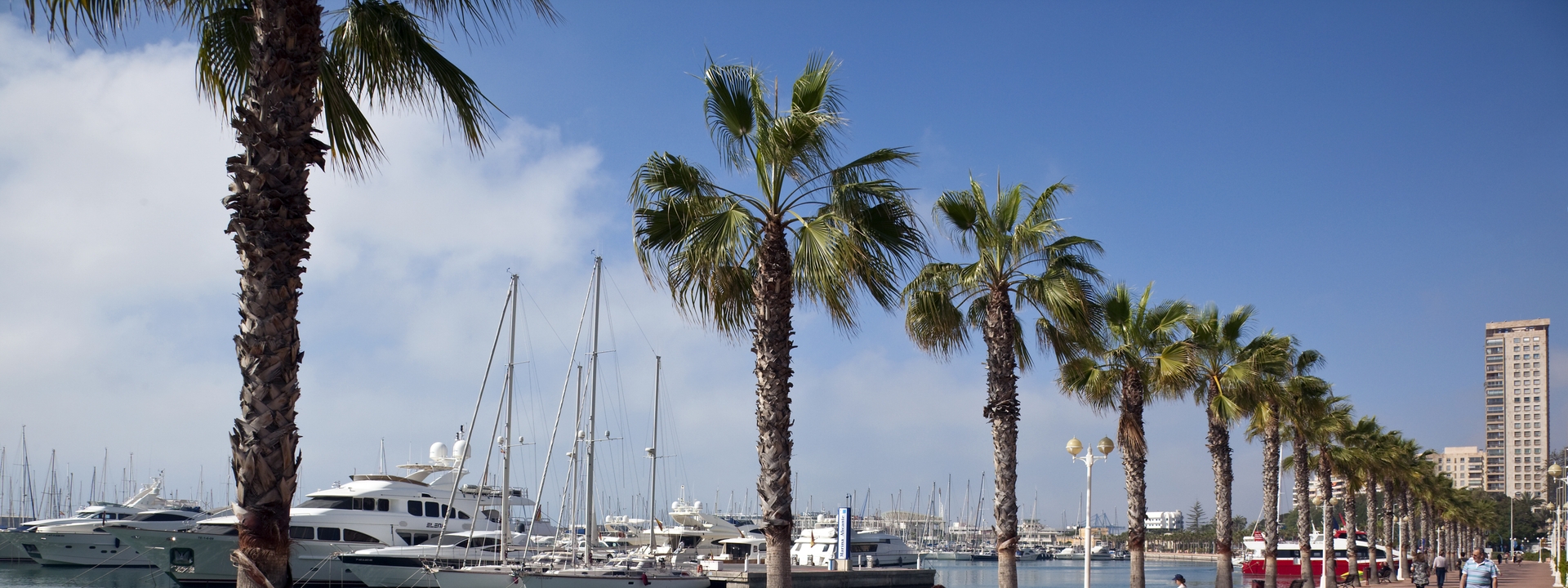 Die Stadt Alicante an der Costa Blanca in Spanien