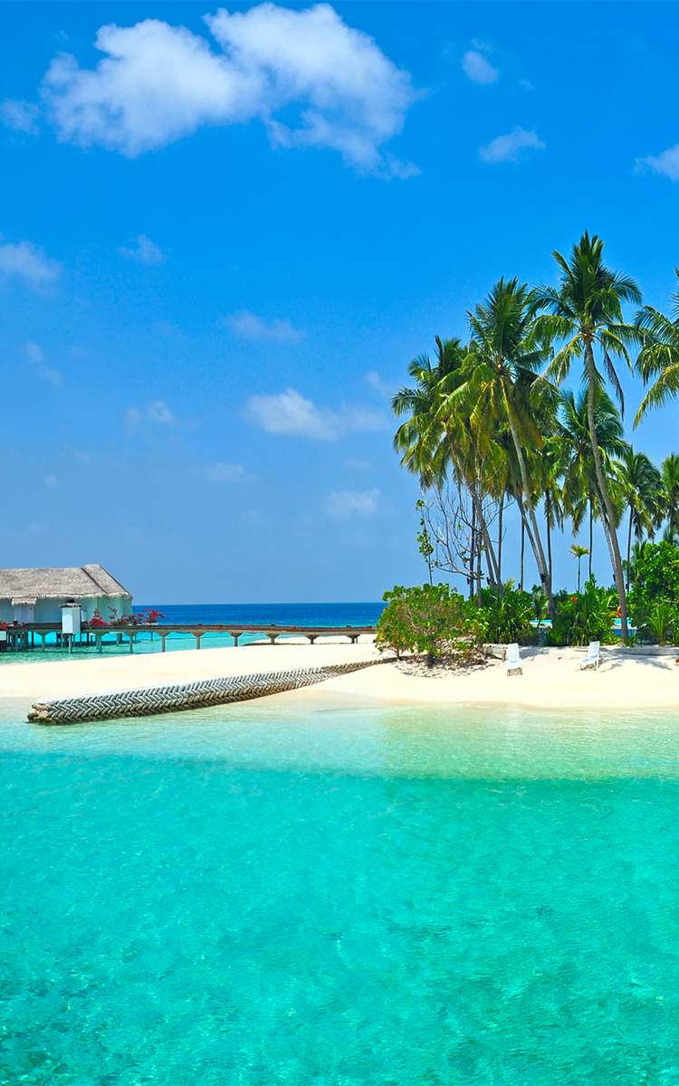 Fluege Malediven - Ferien im Paradies