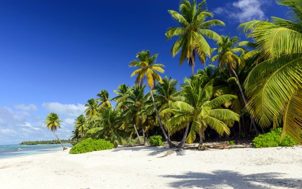 Fluege Punta Cana Dominikanische Republik