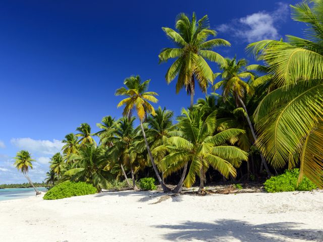 Fluege Punta Cana Dominikanische Republik