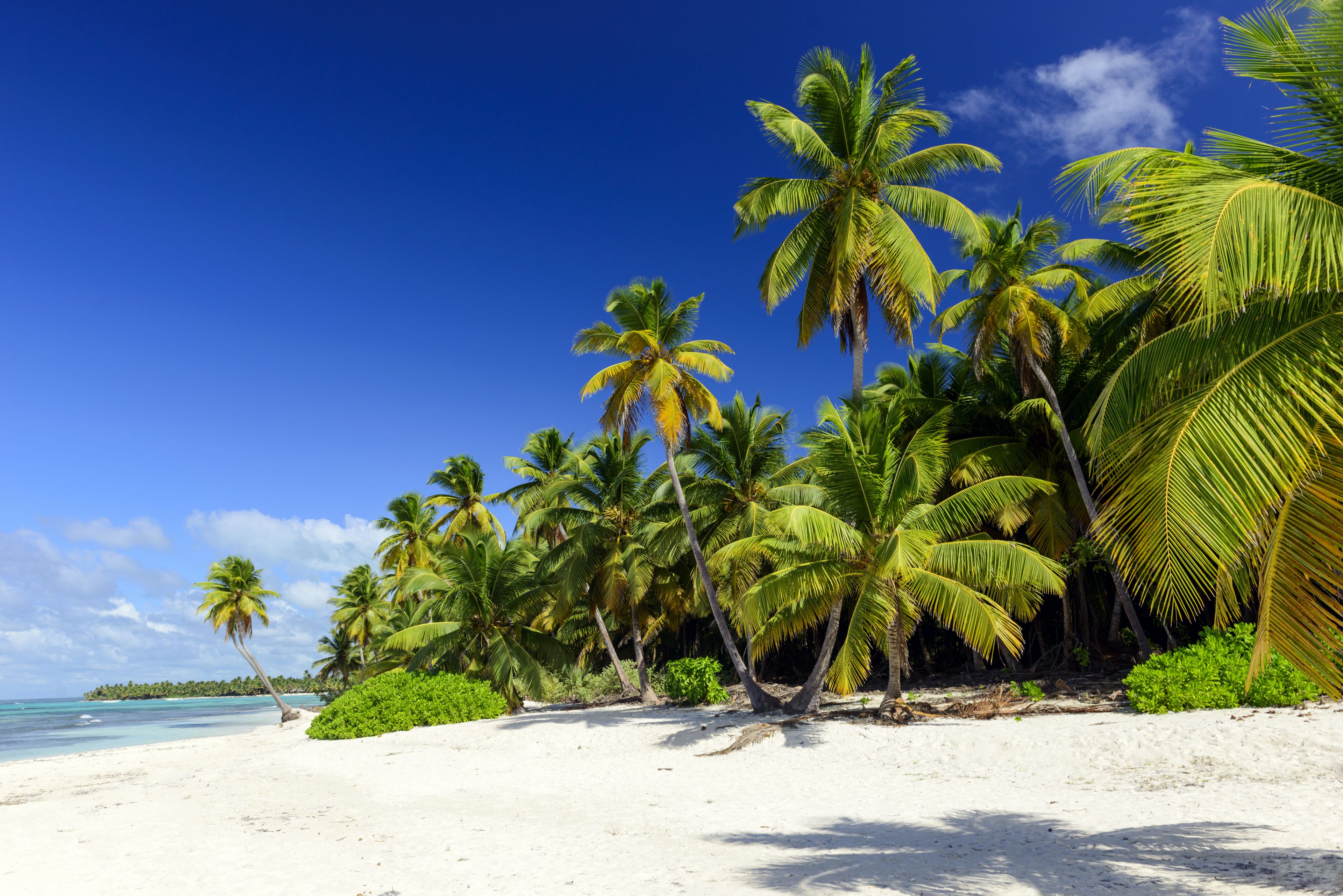Fluege Punta Cana Dominikanische Republik