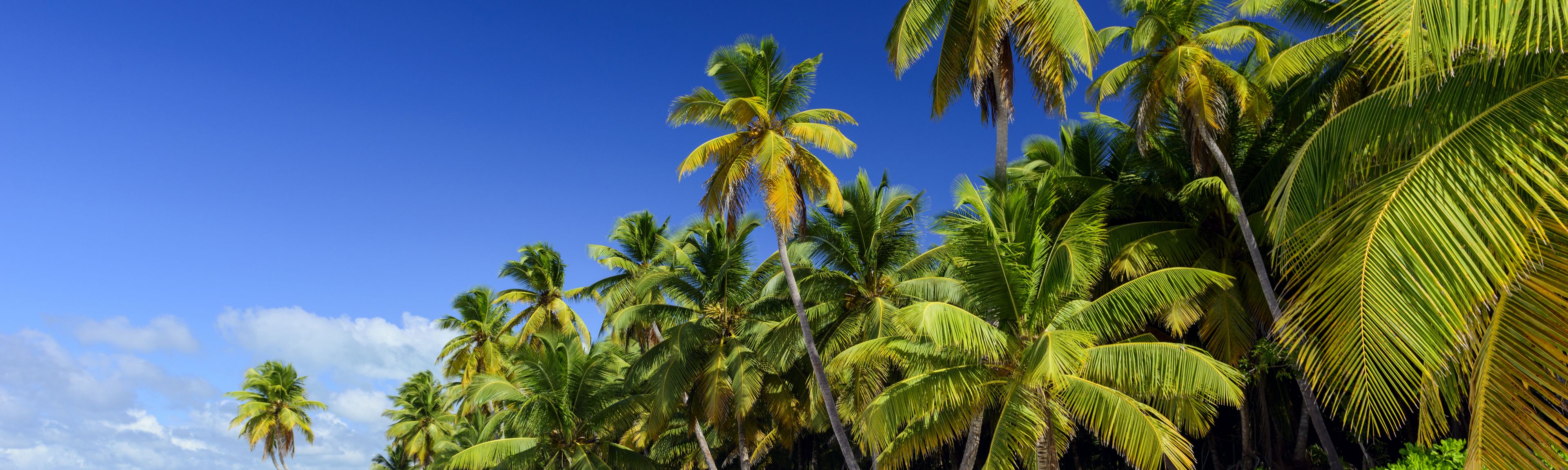 Fluege Punta Cana Dominikanische Republik