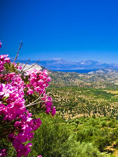 Billigflüge Kreta