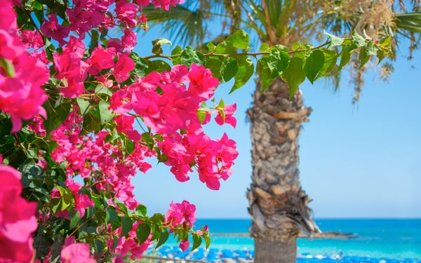 Fluege Larnaca Zypern