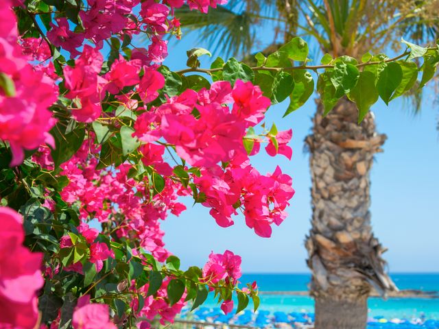 Fluege Larnaca Zypern