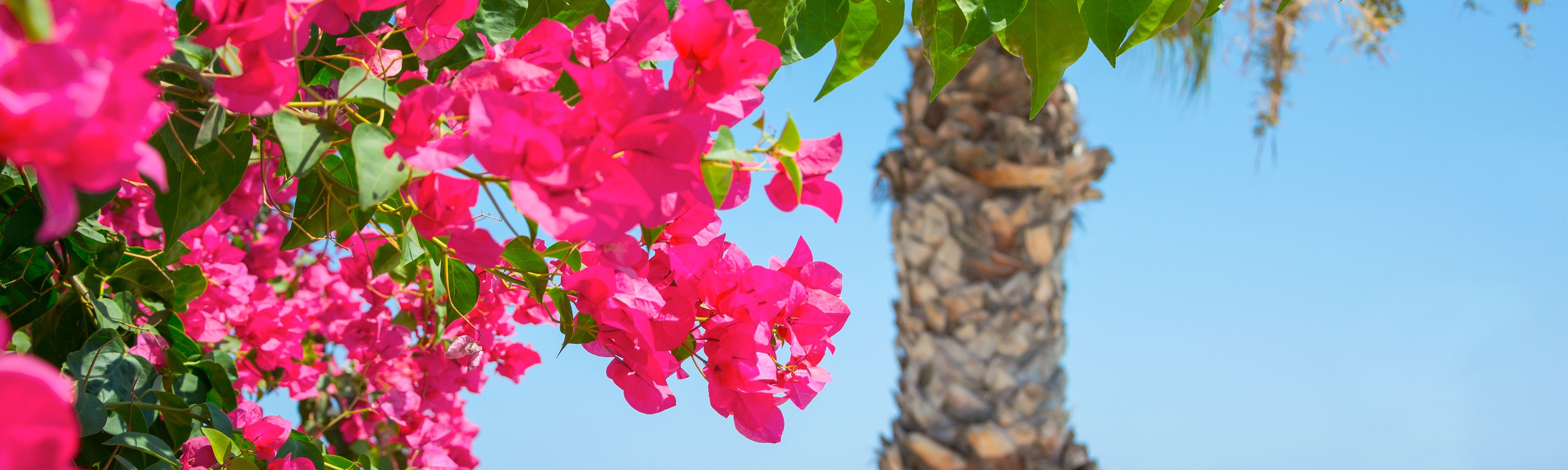 Fluege Larnaca Zypern