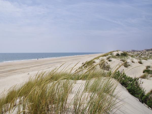 Coto de Donana - Nationalpark an der Costa de la Luz
