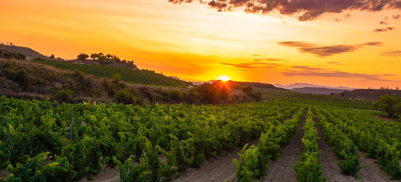 La Rioja - kleinste autonome Gemeinschaft Spaniens im Norden des Landes, bekannt für ihre weltberühmten Weinberge und eine reiche Geschichte