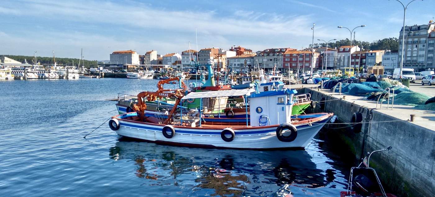 Fiesta del Marisco O Grove - berühmtes Meeresfrüchte- und Volksfest im galicischen O Grove (Spanien), das jeden Oktober stattfindet