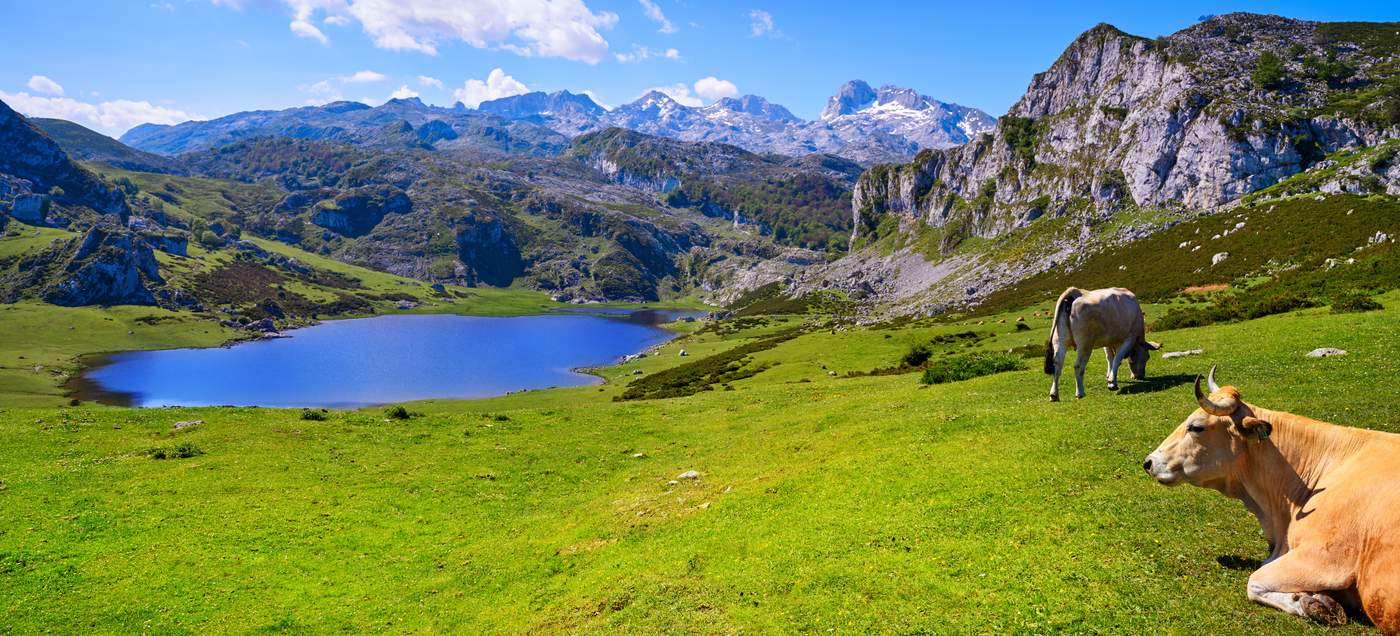 Asturien - besticht durch ihre landschaftlichen Kontraste: Die raue Atlantikküste (Costa Verde) trifft hier auf die majestätischen Höhenzüge des Kantabrischen Gebirges