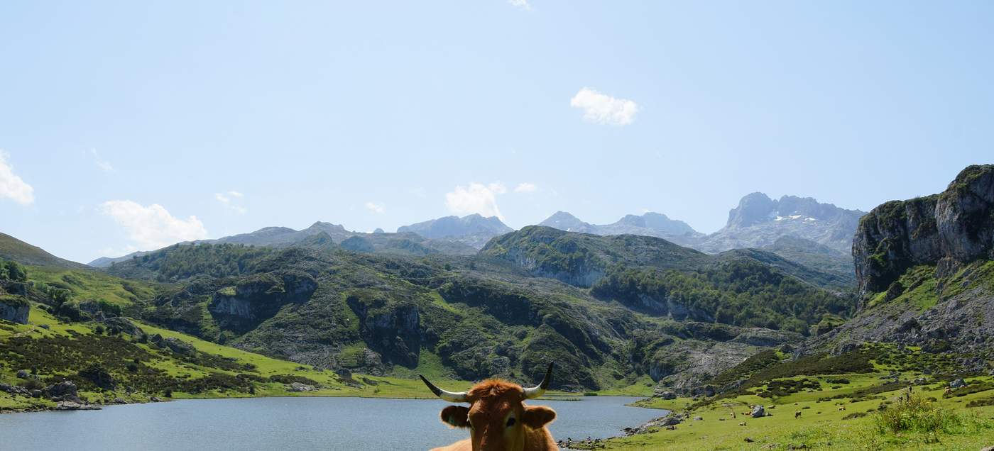 Blick auf Lagos de Covadonga in Picos de Europa, Asturien.