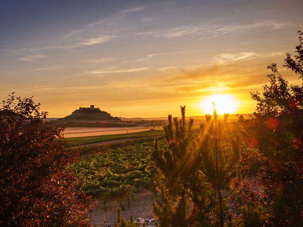 Weinroute Ribera del Duero - bekannt für ihre hochwertigen Rotweine, insbesondere aus der Tempranillo-Traube, die hier Tinto Fino genannt wird