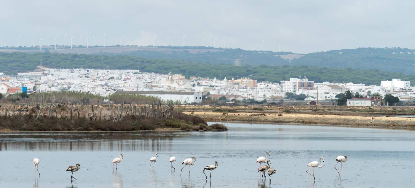 Blick auf Barbate an der Costa de la Luz in Andalusien.