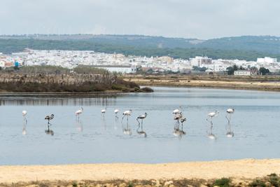 Blick auf Barbate an der Costa de la Luz in Andalusien.