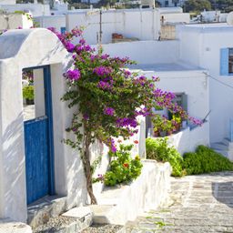 Blick auf eine Strasse auf der Insel Mykonos in Griechenland
