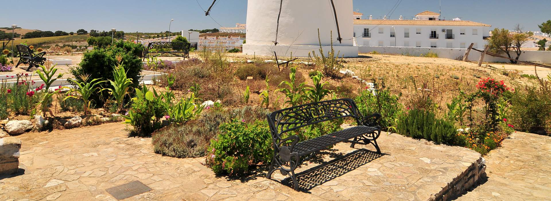 Die Windmühle in Vejer de la Frontera, weisses Dorf in Andalusien.