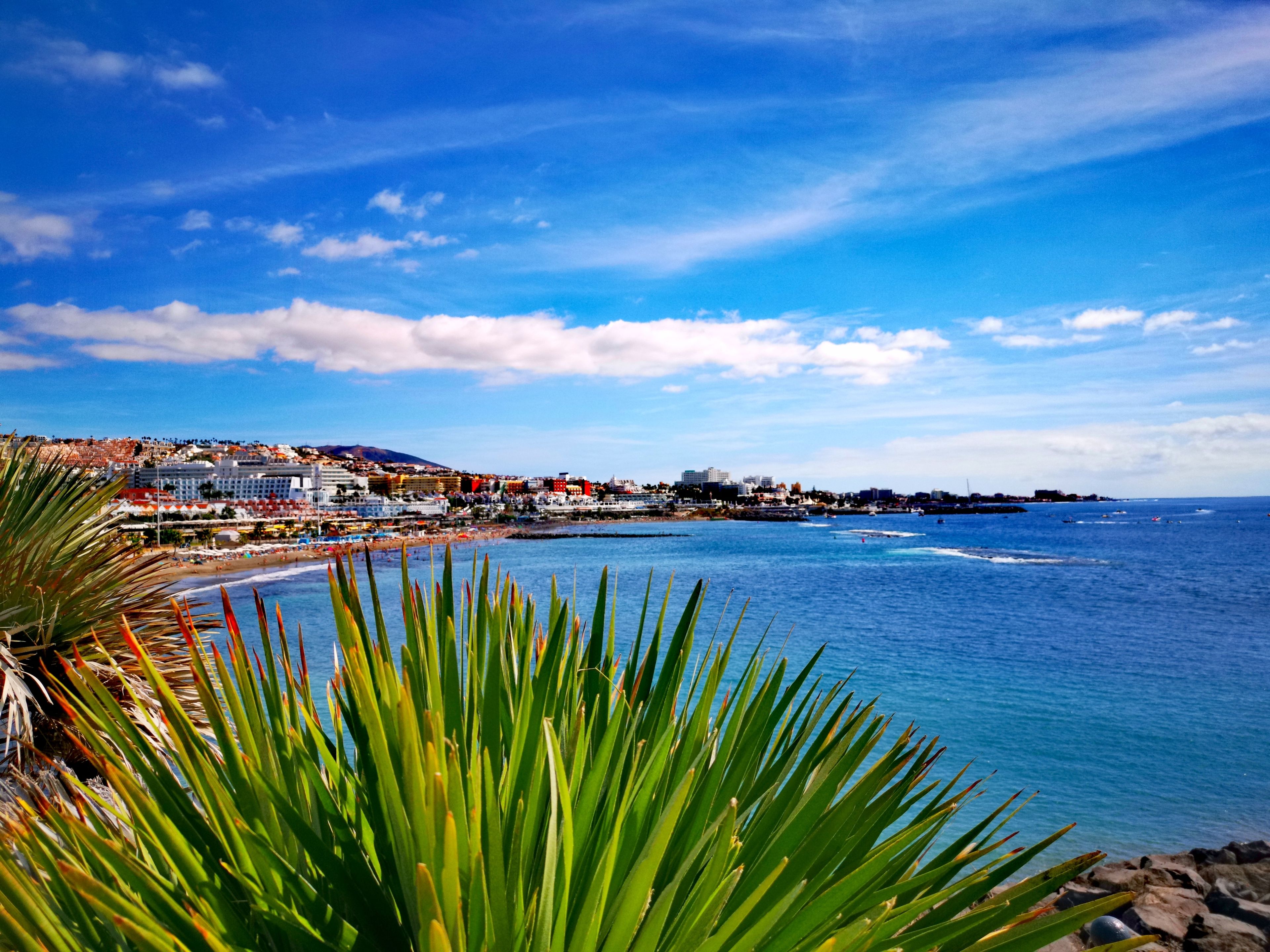 Flug Teneriffa - Costa Adeje auf der Insel Teneriffa