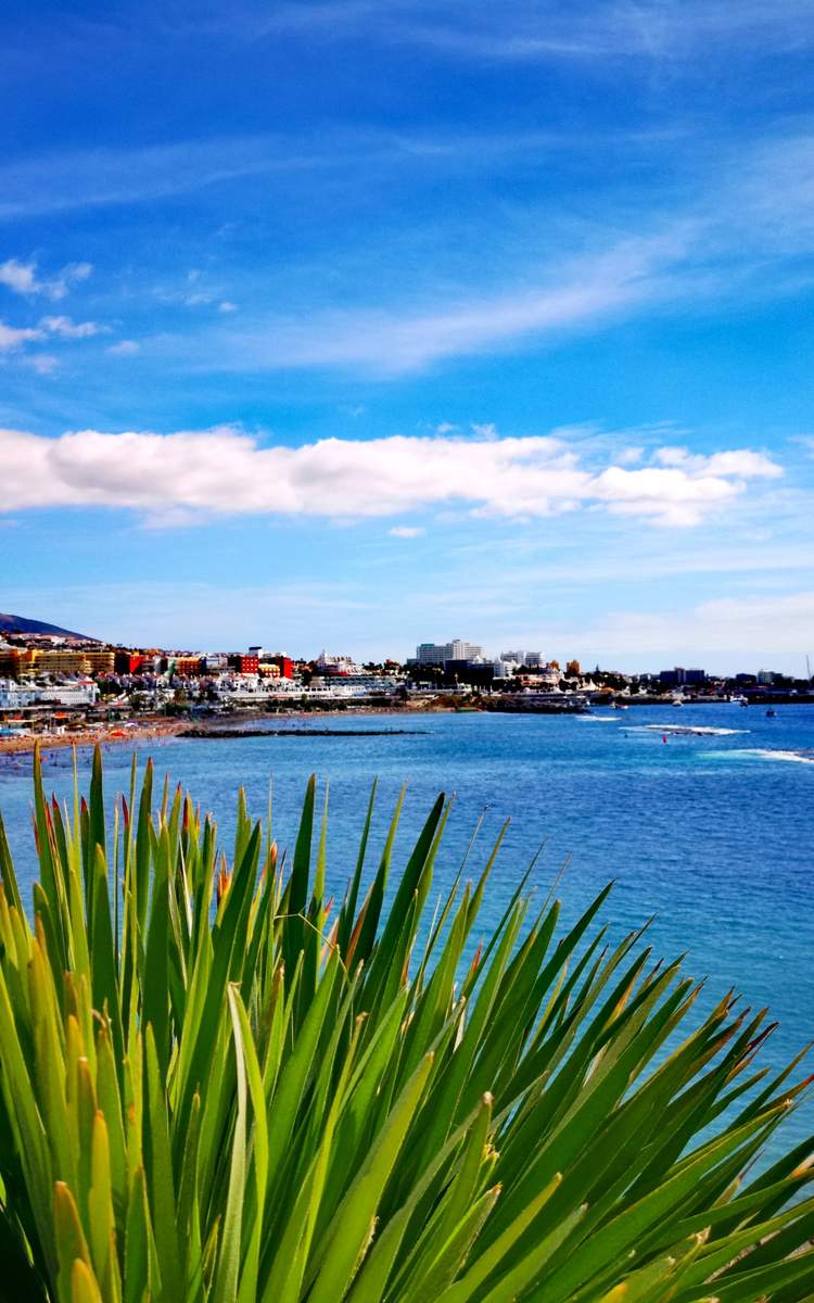 Flug Teneriffa - Costa Adeje auf der Insel Teneriffa