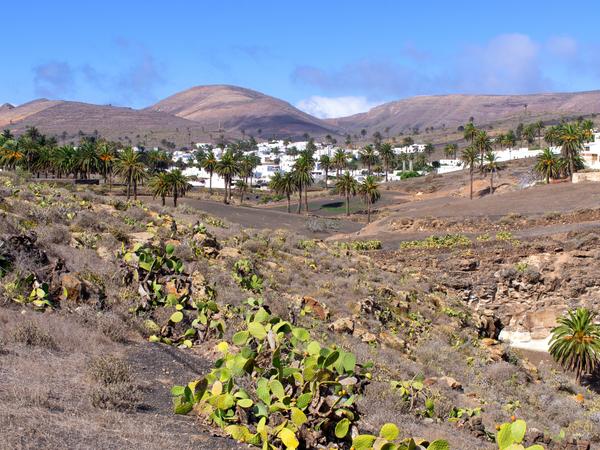 Haria auf Lanzarote