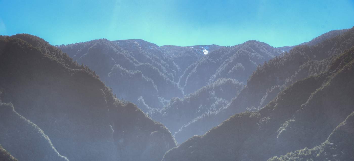 Los Tilos - Lorbeerwald auf La Palma