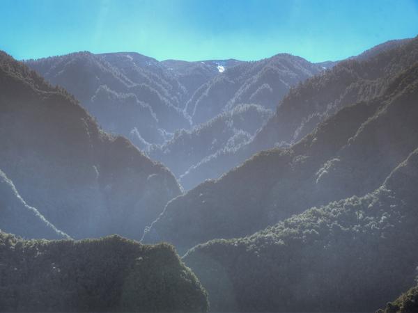 Los Tilos - Lorbeerwald auf La Palma