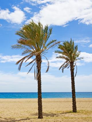 Blick auf einen Strand an der Costa del Sol.