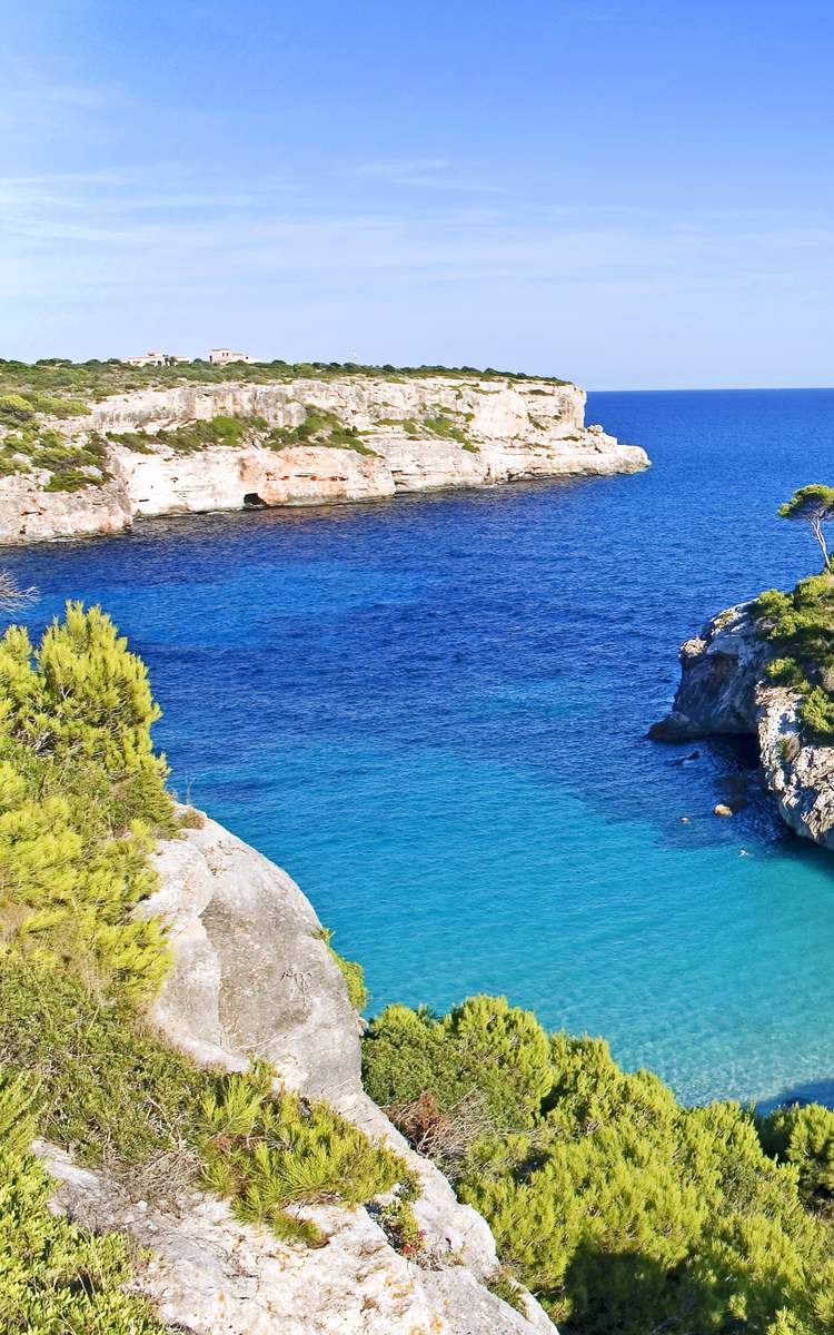 Flüge buchen - Wann ist der beste Zeitpunkt für Fluege auf der Kurzstrecke und Langstrecke Ferientermine.