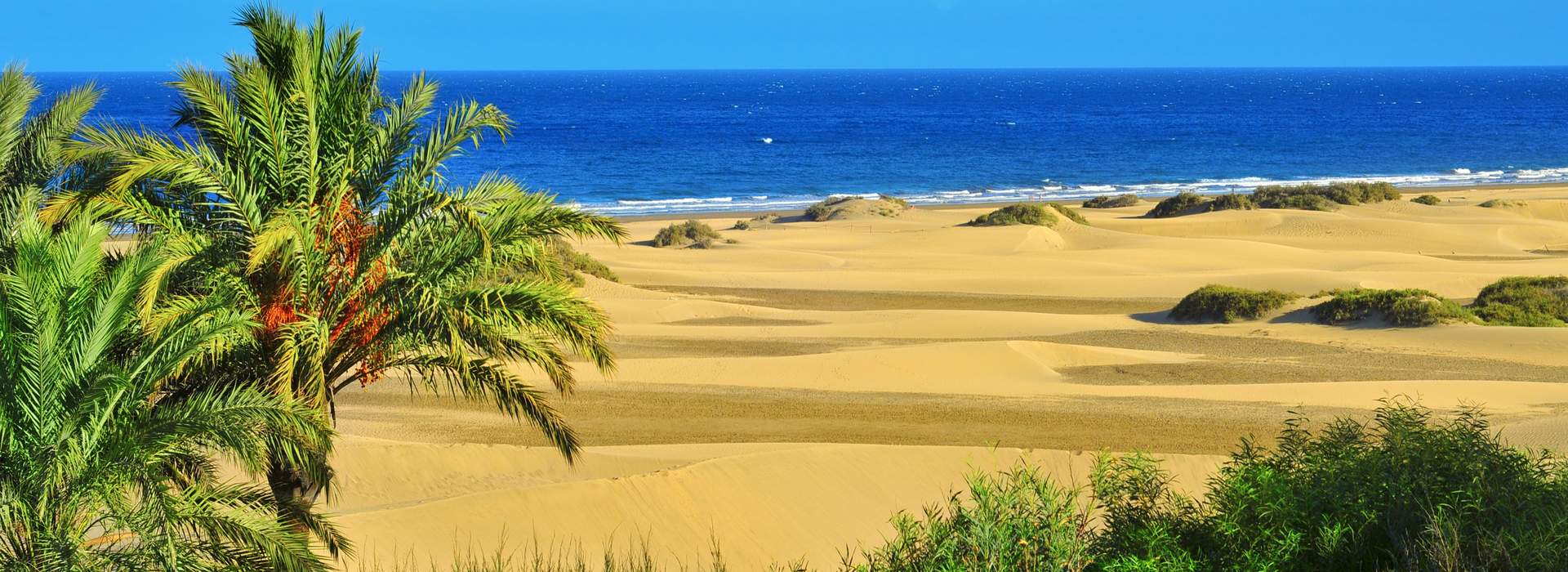 Die Dünen von Maspalomas auf Gran Canaria