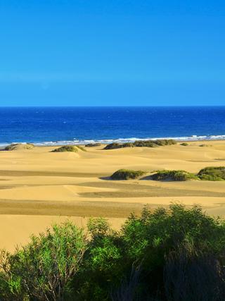 Die Dünen von Maspalomas auf Gran Canaria