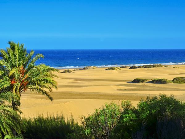 Die Dünen von Maspalomas auf Gran Canaria