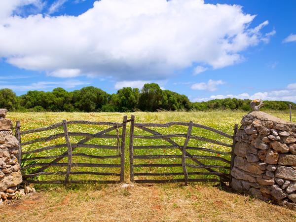 Frühling auf Menorca