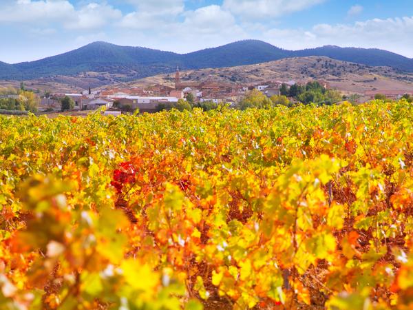 Cariñena - Spaniens älteste DO (Denominación de Origen) mit einem kontinentalen Klima und hauptsächlich roten Rebsorten, wobei die Cariñena-Rebe als Verschnittpartner für Struktur und Tannine dient.