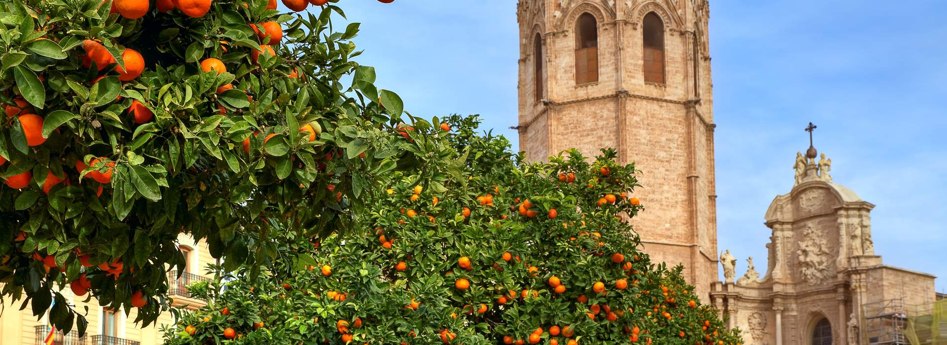 Kathedrale von Valencia - Blick auf die Kathedrale von Valencia.