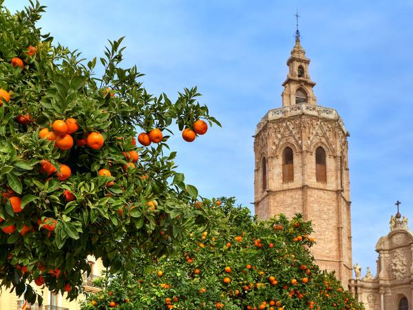 Kathedrale von Valencia - Blick auf die Kathedrale von Valencia.