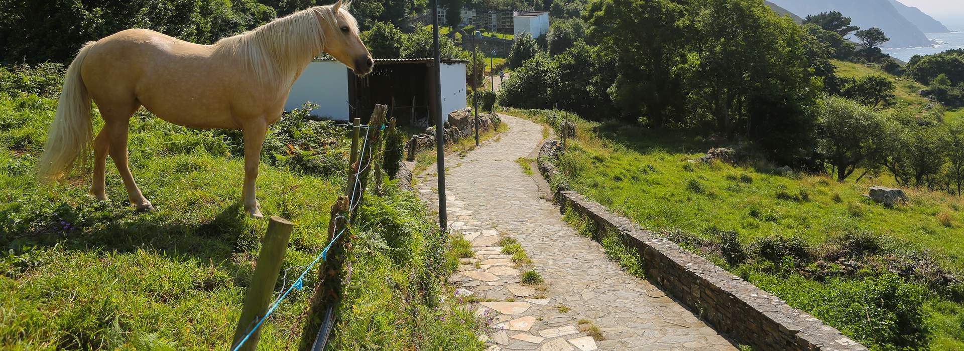 San Andres de Teixido - Pferd vor der schönen Küstenlandschaft