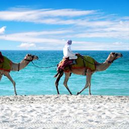 Flüge von Stuttgart nach Dubai ab 2026 geplant.