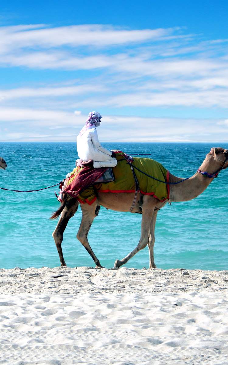 Flüge von Stuttgart nach Dubai ab 2026 geplant.