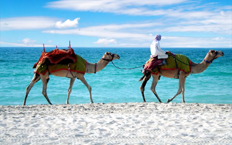 Flüge von Stuttgart nach Dubai ab 2026 geplant.