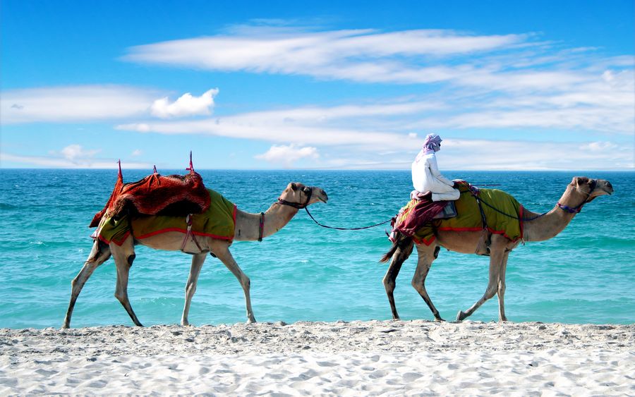 Flüge von Stuttgart nach Dubai ab 2026 geplant.