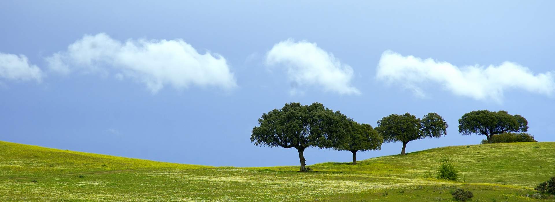 Eine Landschaft in der Region Extremadura in Spanien.