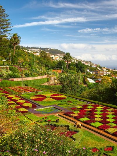 Flugangebote Funchal