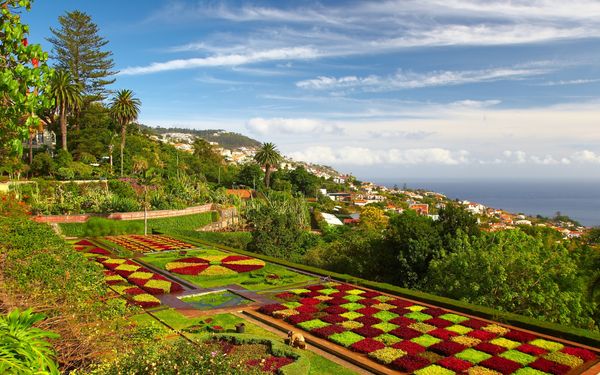 Der Botanische Garten in Funchal auf der Insel Madeira