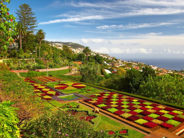 Der Botanische Garten in Funchal auf der Insel Madeira